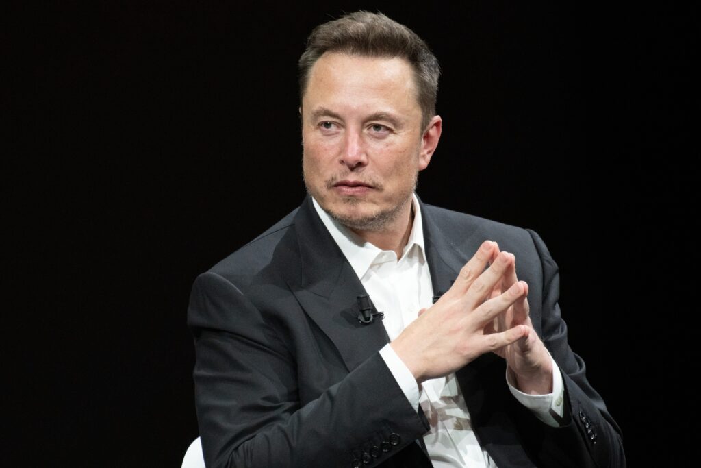 Elon Musk AfD support