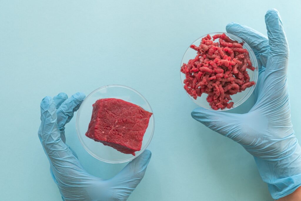 Lab-Grown Foods May Hit UK Shelves Within Two Years
