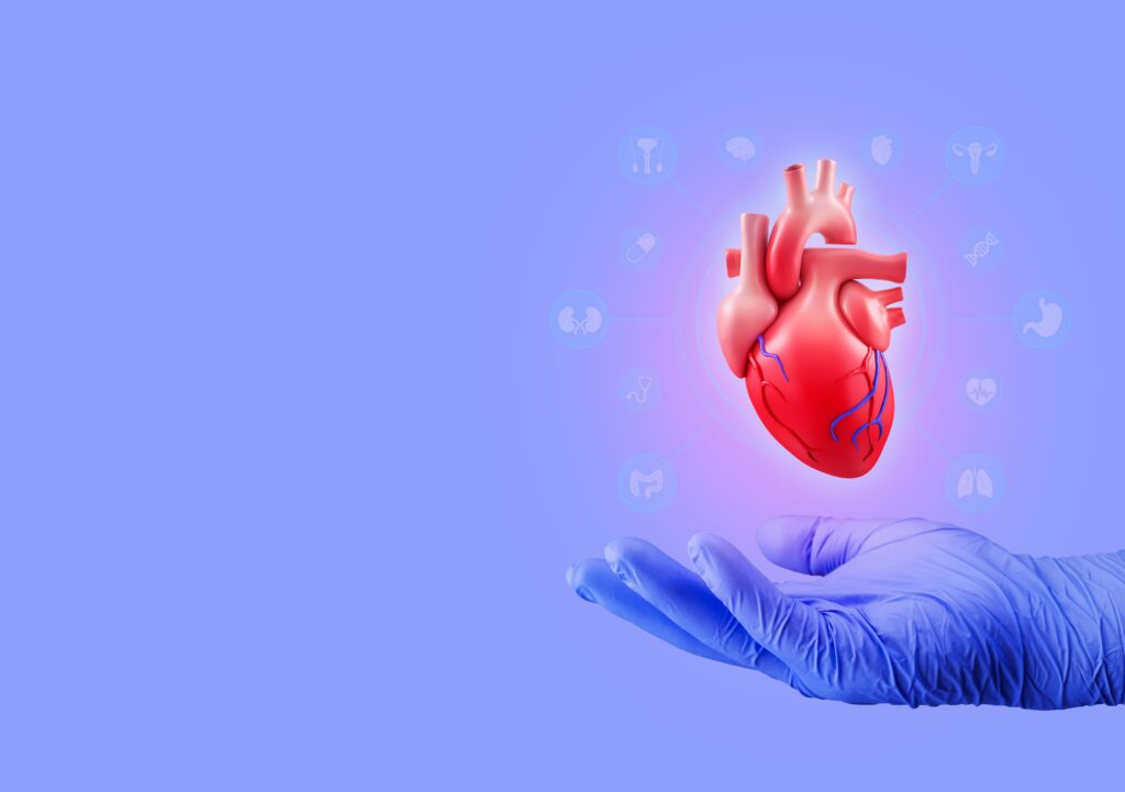 New Tool Estimates Heart Age to Detect Cardiovascular Disease